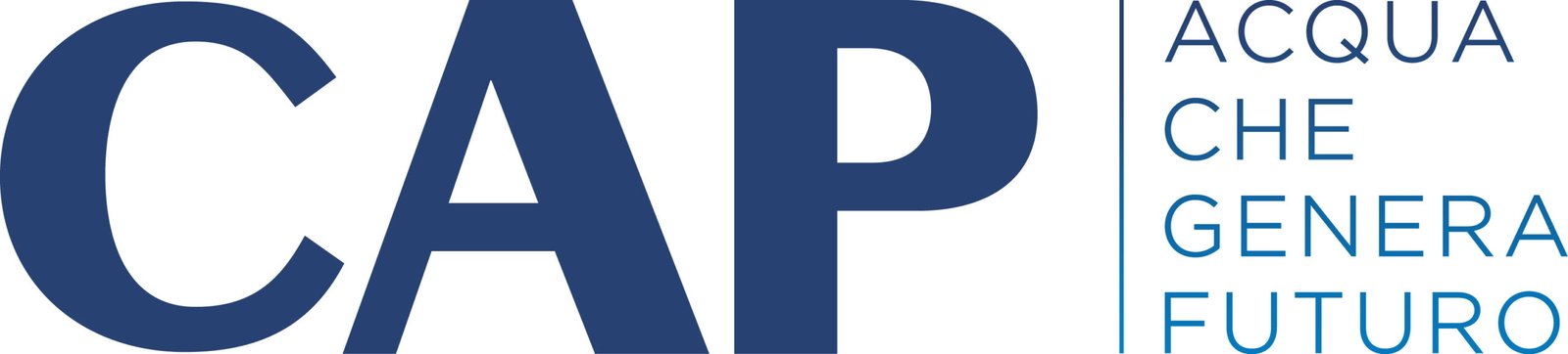 Sponsors & Partners cap payoff 2025 rgb